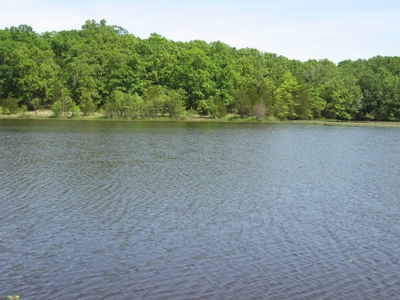 Lake Front Home For Sale St. James Mo For Sale Lake Property - image 32