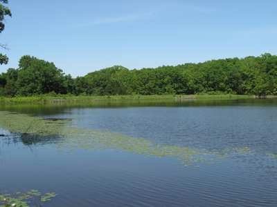 Lake Front Home For Sale St. James Mo For Sale Lake Property - image 31