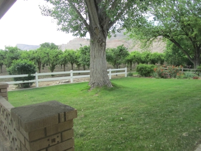 Home For Sale with Orchard in Palisade, CO - image 24