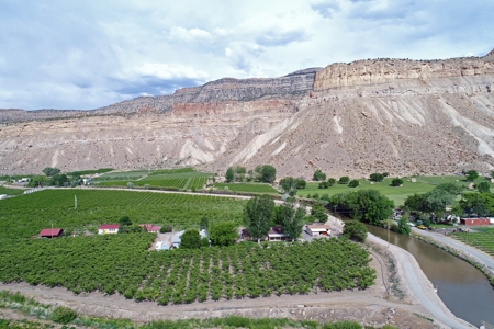 Home For Sale with Orchard in Palisade, CO - image 4