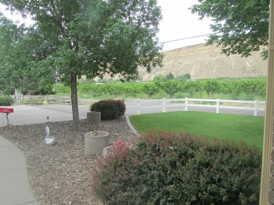 Home For Sale with Orchard in Palisade, CO - image 21