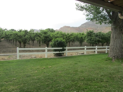Home For Sale with Orchard in Palisade, CO - image 25