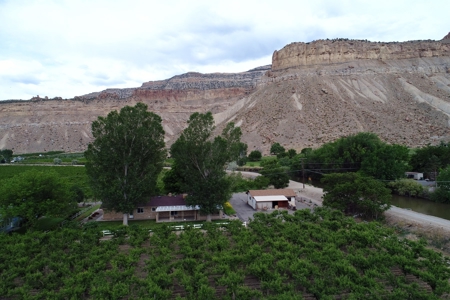 Home For Sale with Orchard in Palisade, CO - image 2