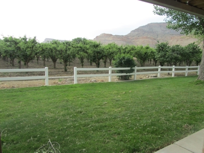 Home For Sale with Orchard in Palisade, CO - image 26