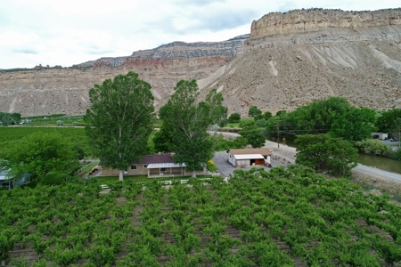 Home For Sale with Orchard in Palisade, CO - image 3