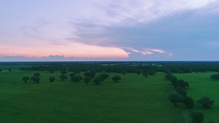 Trenton FL, Land for sale & Real Estate - image 22