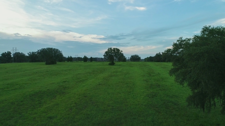 Trenton FL, Land for sale & Real Estate - image 17