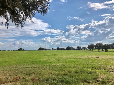 Trenton FL, Land for sale & Real Estate - image 14