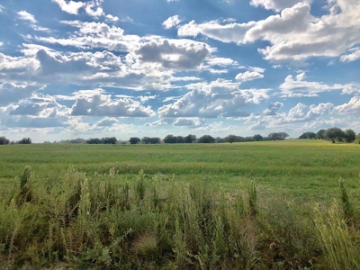 Trenton FL, Land for sale & Real Estate - image 11