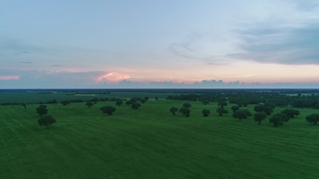Trenton FL, Land for sale & Real Estate - image 21