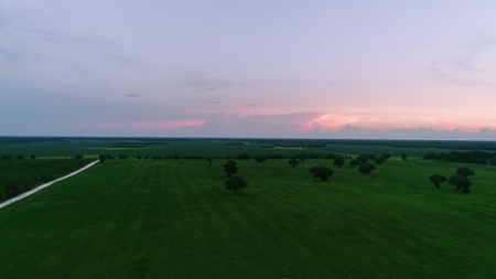 Trenton FL, Land for sale & Real Estate - image 23