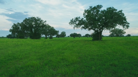 Trenton FL, Land for sale & Real Estate - image 16