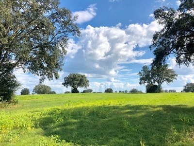 Trenton FL, Land for sale & Real Estate - image 13