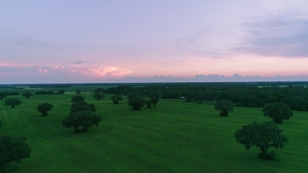 Trenton FL, Land for sale & Real Estate - image 19