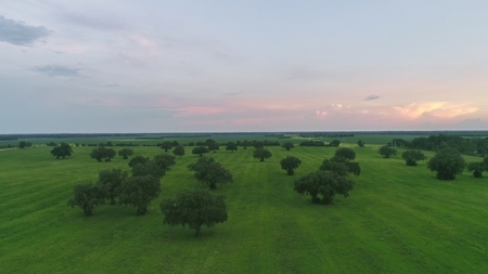 Trenton FL, Land for sale & Real Estate - image 18