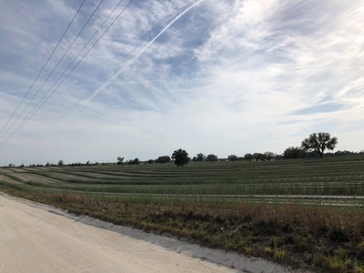 Trenton FL, Land for sale & Real Estate - image 10
