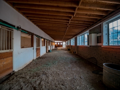 Horse Property in Central NM, next to the Rio Grande - image 13