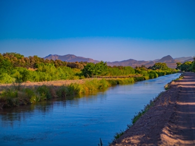 Horse Property in Central NM, next to the Rio Grande - image 6