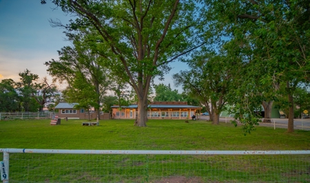 Horse Property in Central NM, next to the Rio Grande - image 1