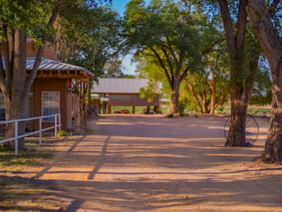 Horse Property in Central NM, next to the Rio Grande - image 4