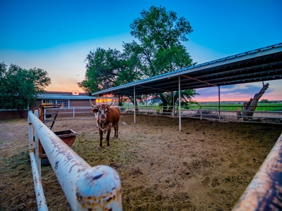 Horse Property in Central NM, next to the Rio Grande - image 14