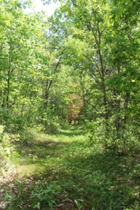 Well Maintained Country Home in Sparta WI - image 44