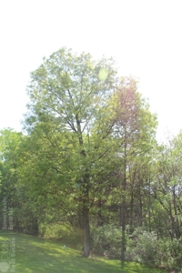 Well Maintained Country Home in Sparta WI - image 43