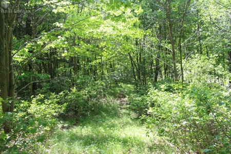 Well Maintained Country Home in Sparta WI - image 46