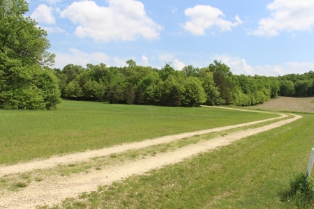 Well Maintained Country Home in Sparta WI - image 47