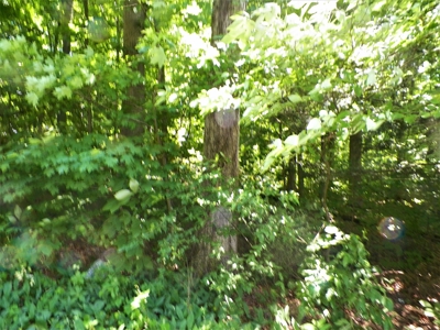 House With 8 Acres And Timber In Rural Retreat, Va - image 15