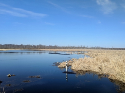 Duck Marsh for sale Wisconsin, 300+ AC Recreational Property - image 1