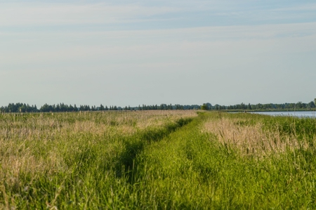 Duck Marsh for sale Wisconsin, 300+ AC Recreational Property - image 23