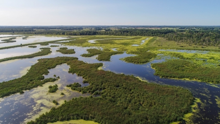 Duck Marsh for sale Wisconsin, 300+ AC Recreational Property - image 41