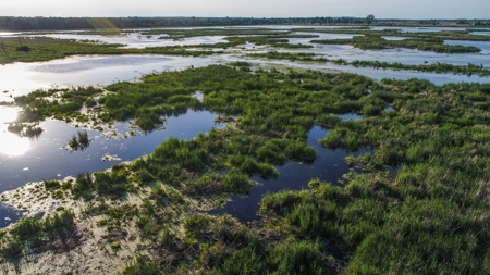 Duck Marsh for sale Wisconsin, 300+ AC Recreational Property - image 15