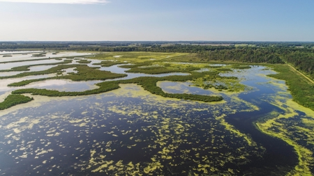 Duck Marsh for sale Wisconsin, 300+ AC Recreational Property - image 40