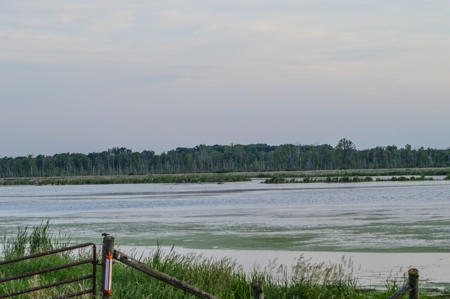 Duck Marsh for sale Wisconsin, 300+ AC Recreational Property - image 27