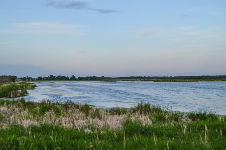 Duck Marsh for sale Wisconsin, 300+ AC Recreational Property - image 28