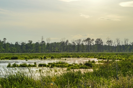 Duck Marsh for sale Wisconsin, 300+ AC Recreational Property - image 22