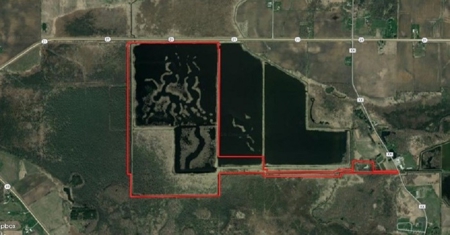 Duck Marsh for sale Wisconsin, 300+ AC Recreational Property - image 4