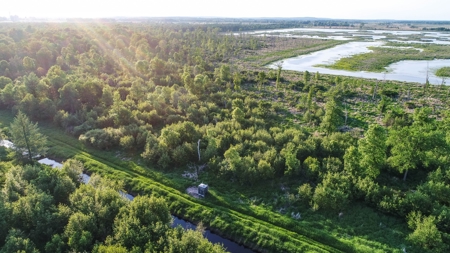 Duck Marsh for sale Wisconsin, 300+ AC Recreational Property - image 16