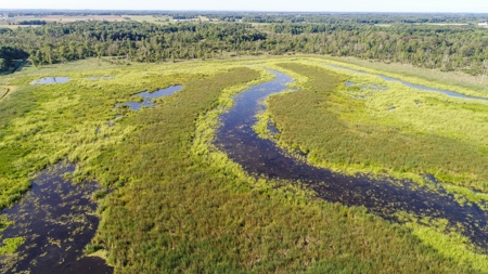 Duck Marsh for sale Wisconsin, 300+ AC Recreational Property - image 45