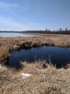 Duck Marsh for sale Wisconsin, 300+ AC Recreational Property - image 3