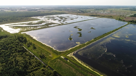 Duck Marsh for sale Wisconsin, 300+ AC Recreational Property - image 11