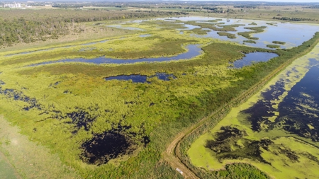 Duck Marsh for sale Wisconsin, 300+ AC Recreational Property - image 42