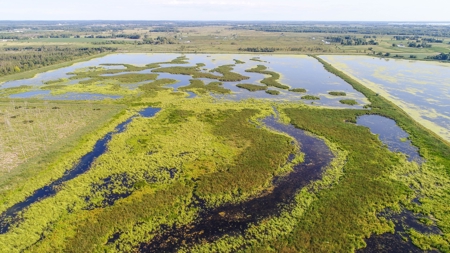 Duck Marsh for sale Wisconsin, 300+ AC Recreational Property - image 44