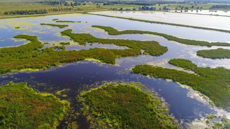 Duck Marsh for sale Wisconsin, 300+ AC Recreational Property - image 47