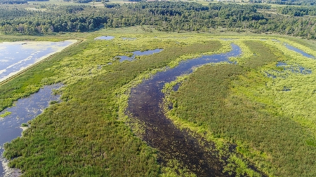 Duck Marsh for sale Wisconsin, 300+ AC Recreational Property - image 43