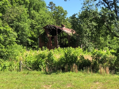 Off-Grid Home for Sale in Madison County, Missouri - image 12