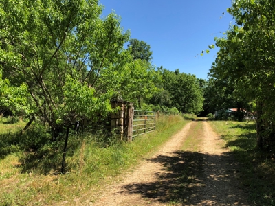 Off-Grid Home for Sale in Madison County, Missouri - image 11