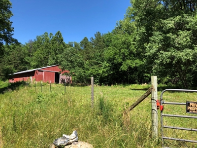 Off-Grid Home for Sale in Madison County, Missouri - image 10